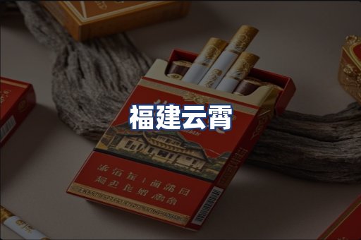 福建云霄